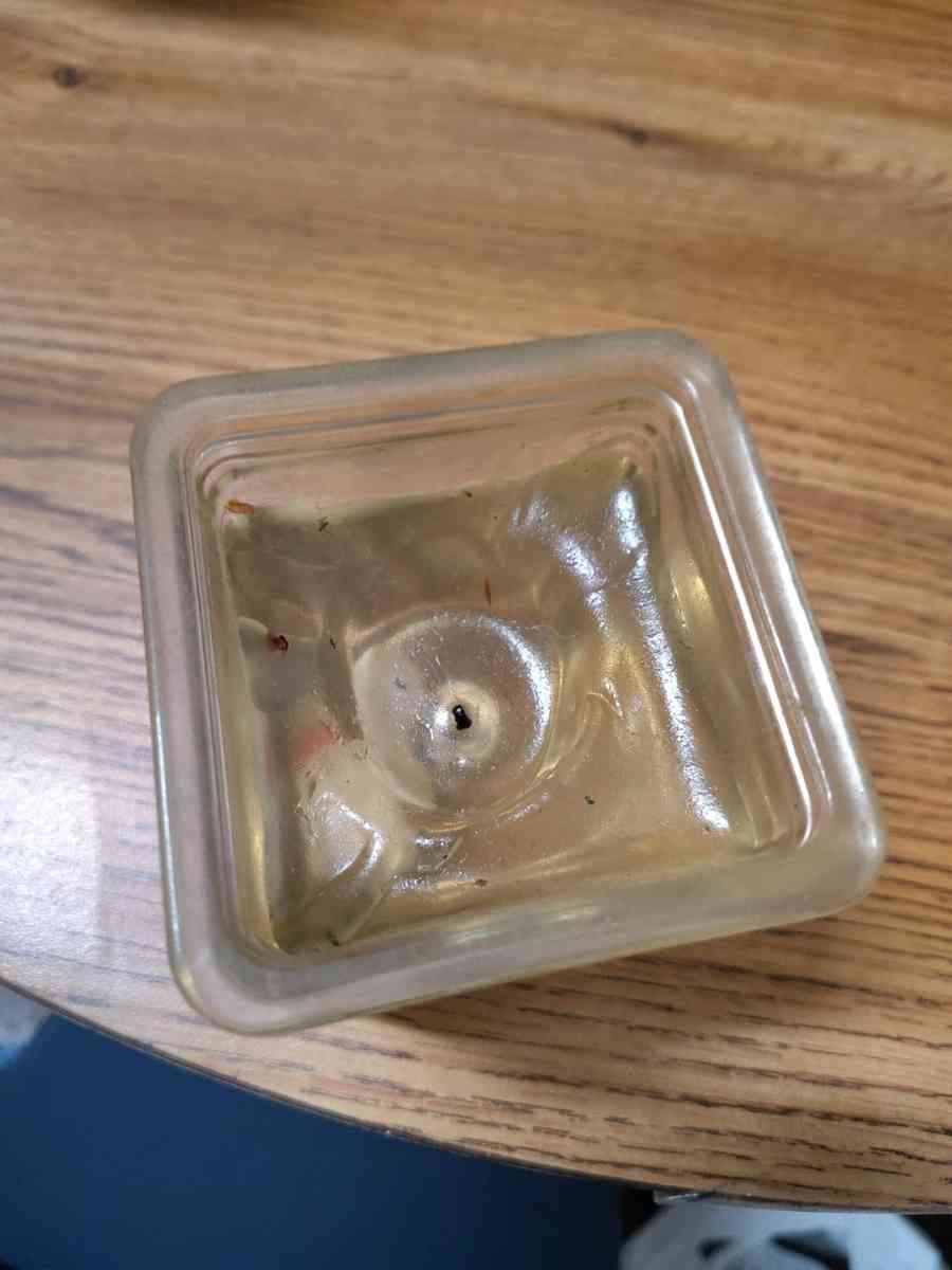 clear jelly candle with small white animals in the candle