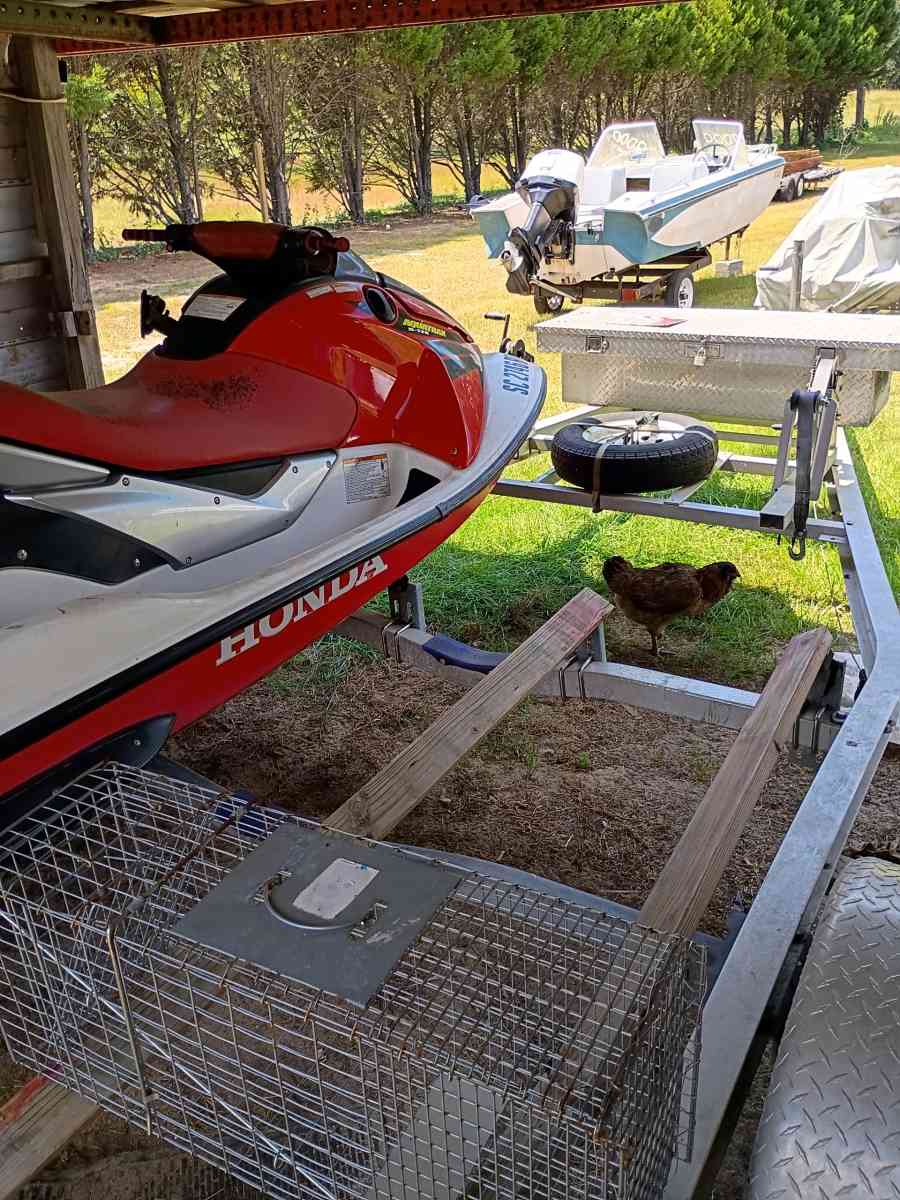 a little bit of everything