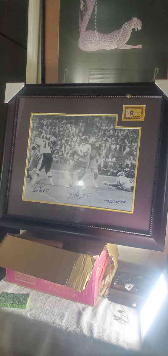 Autograph Picture of the Washington  redskins