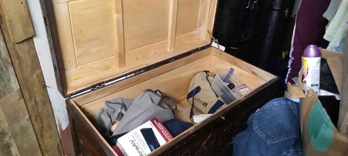 HandCarved Camphorwood Chest  Antique Oriental Style