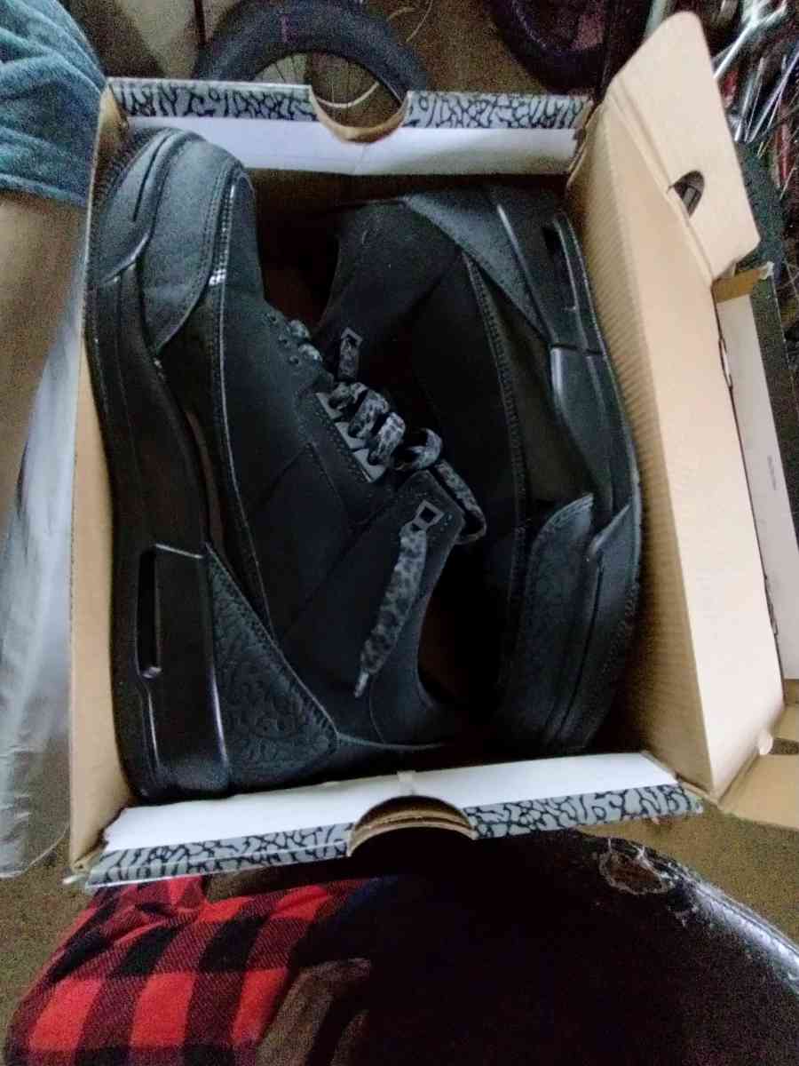 Air Jordan black cat 3s