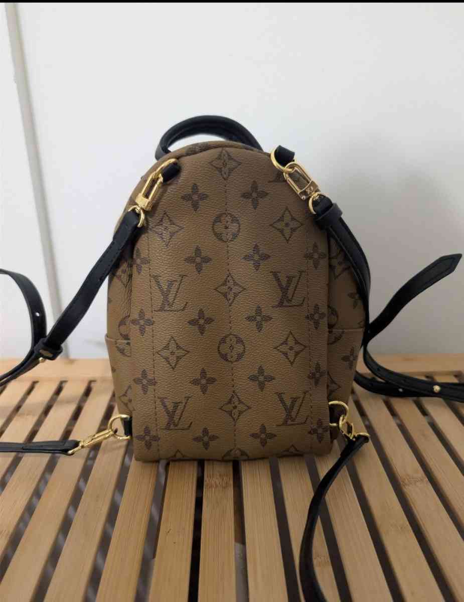Louis Vuitton Palm springs bag