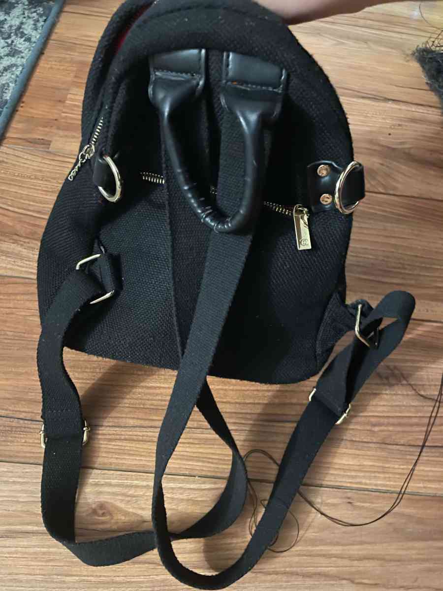 black Chanel bag with a red interior