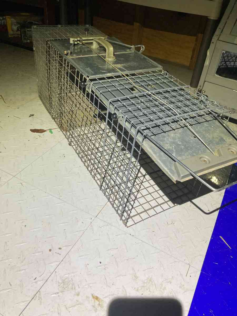 Metal Animal Trap Cage