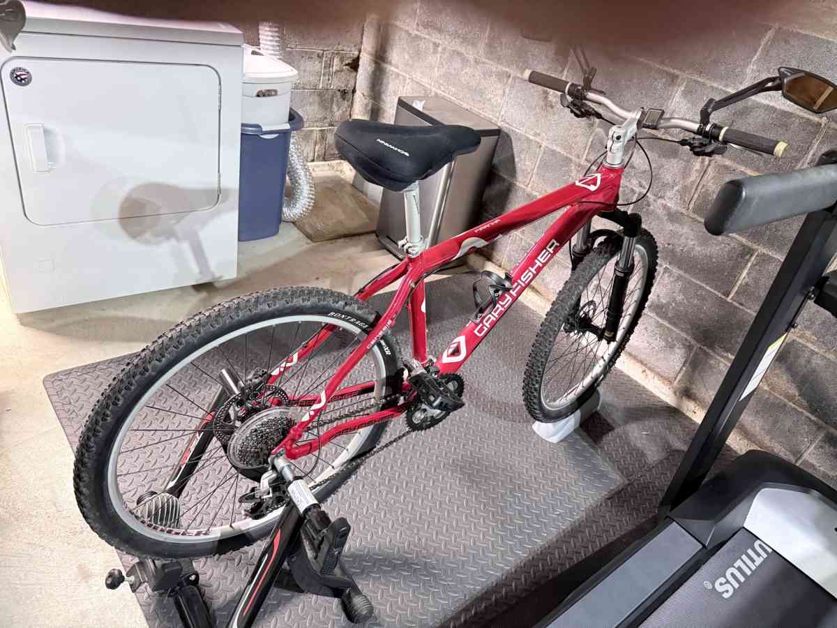 2009 Gary Fisher Piranha MTB  Hydraulic Brakes  G2 Geometry