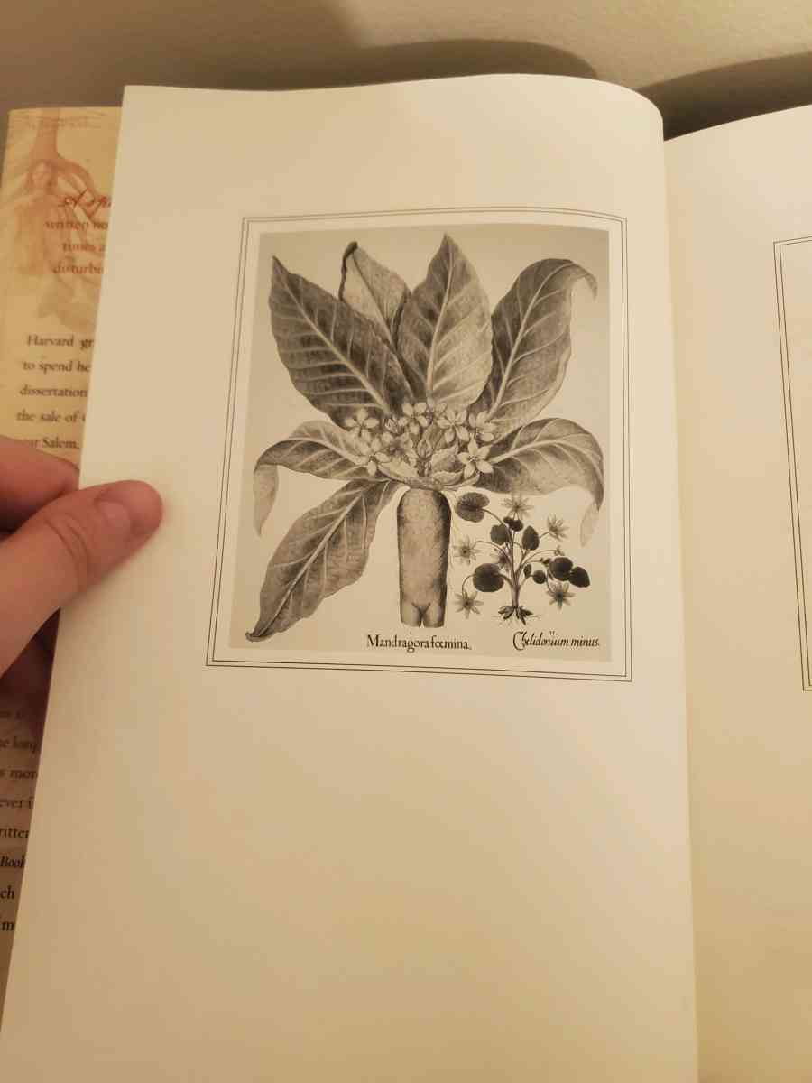 The Physick Book of Deliverance Dane by Katherine Howe