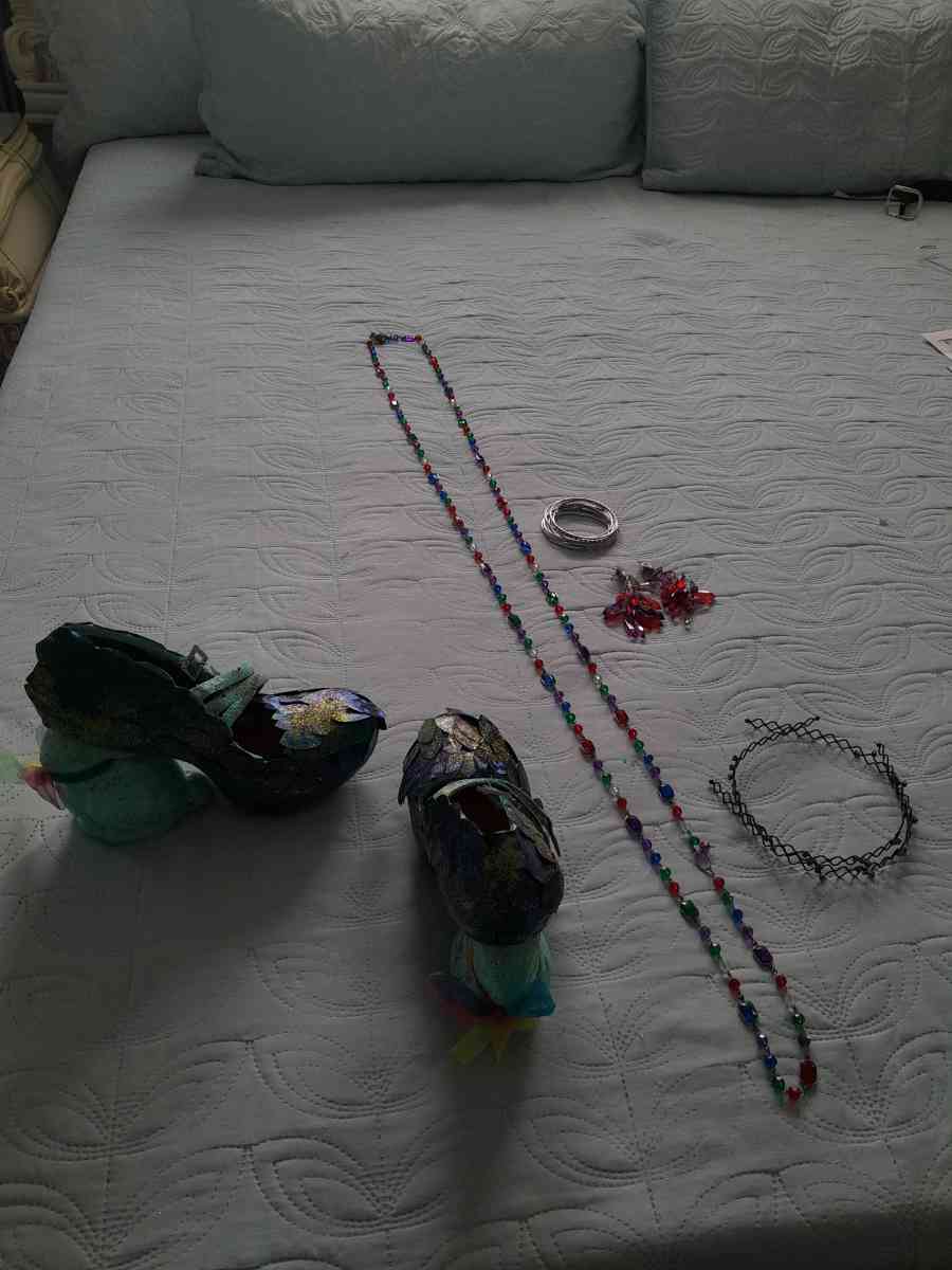 Bundle Prom formal prom dress shoes and accessories