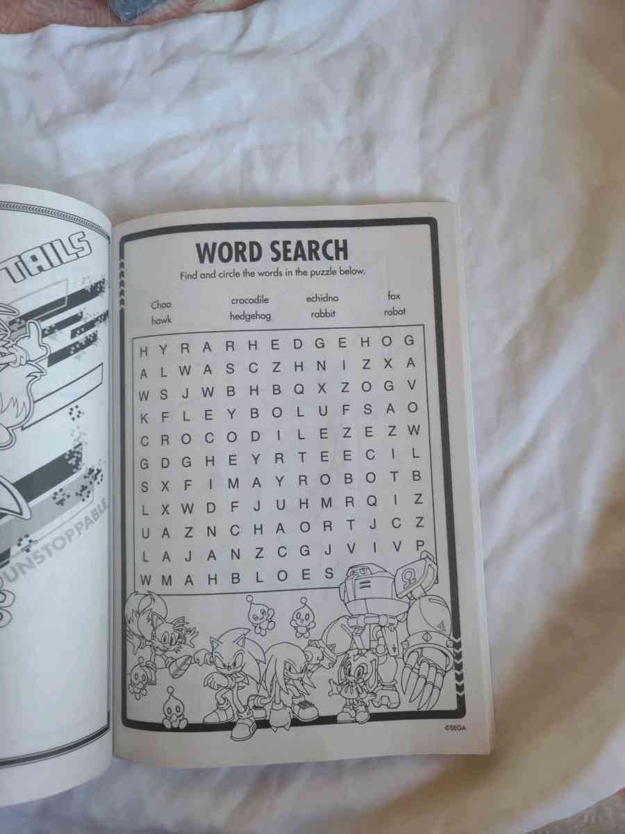 Sonic and Hedgehog activity and coloring book