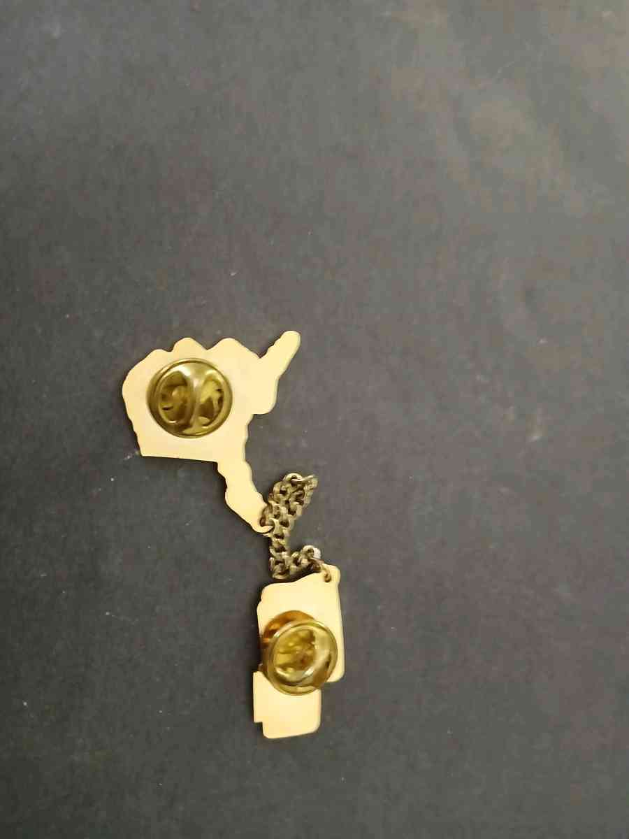 Alaska Little League pin