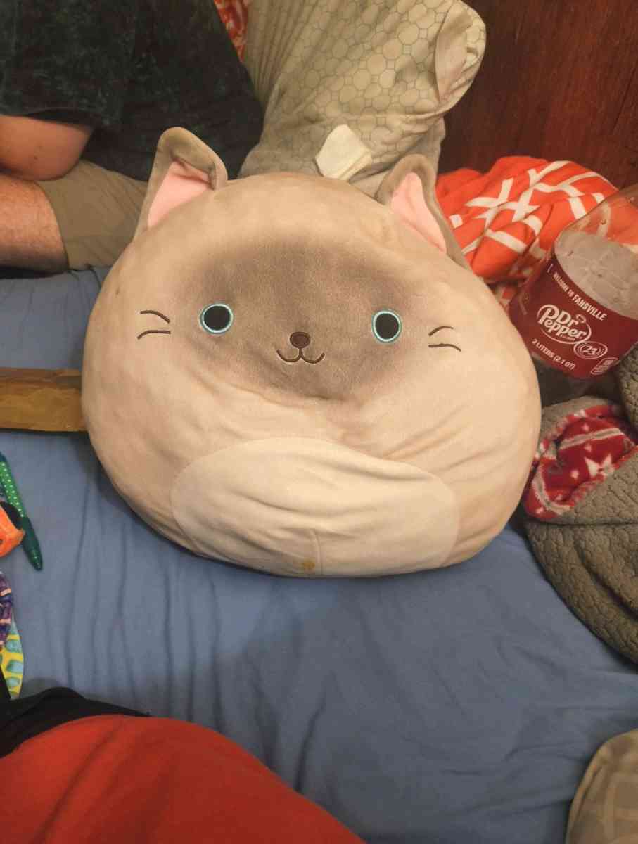 cat squishmellow
