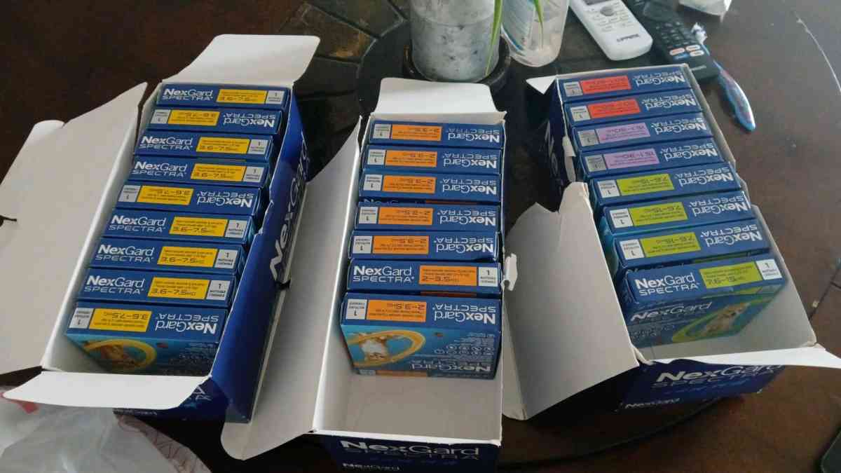 proteccin contra pulgas y garrapatas