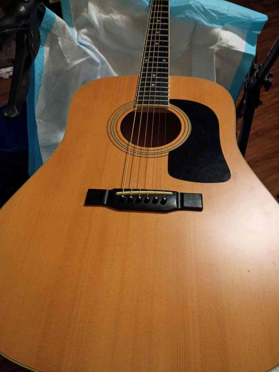 classic Washburn D series guitar