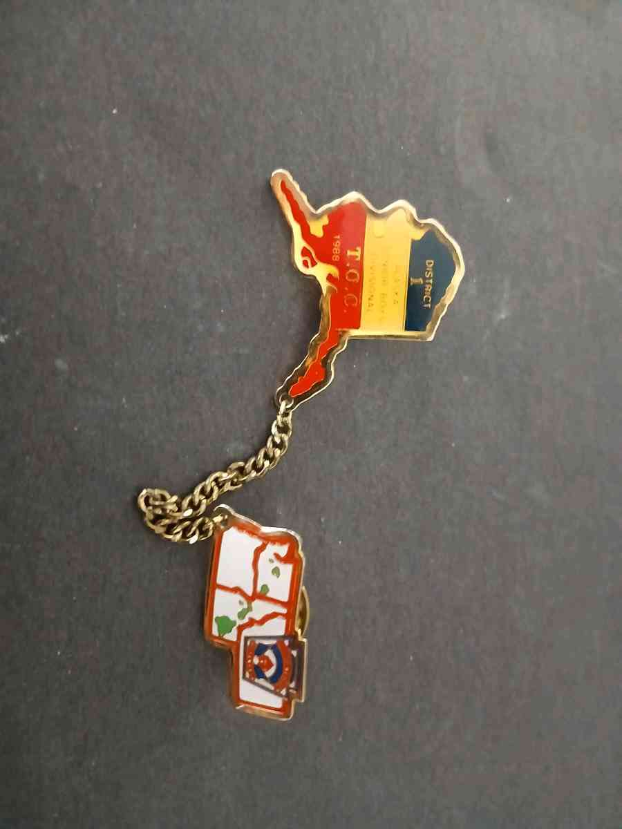 Alaska Little League pin