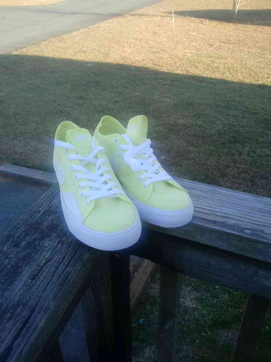 Nike SB Blazer Court