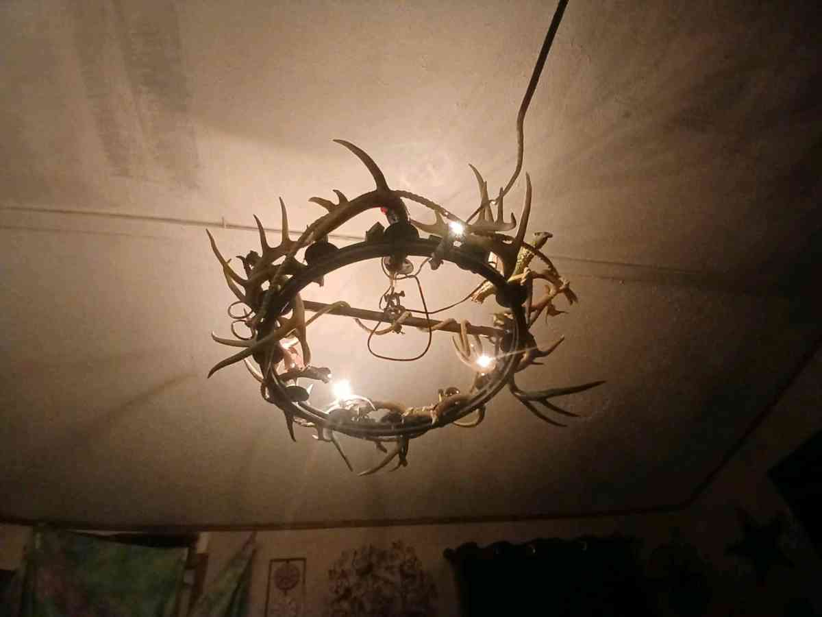 Deer antler chandelier ox yoke