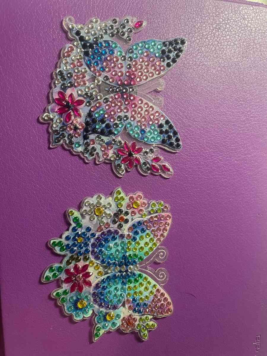Butterfly Magnets
