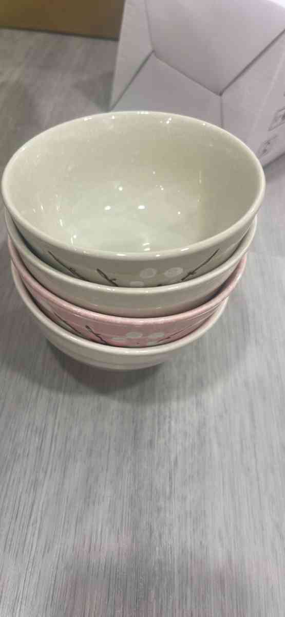 Whitenesser Japanese Rice Bowl Set of 4