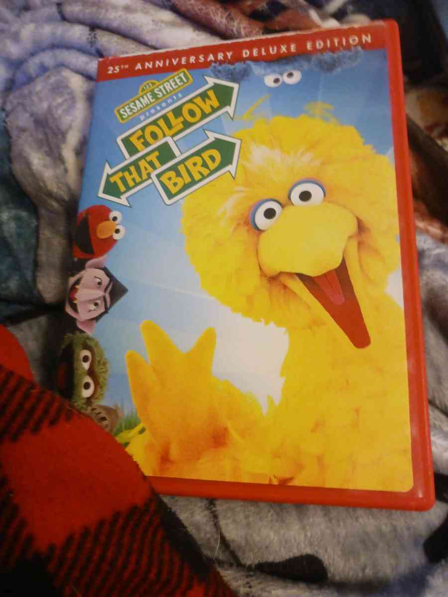 Follow the bird dvd