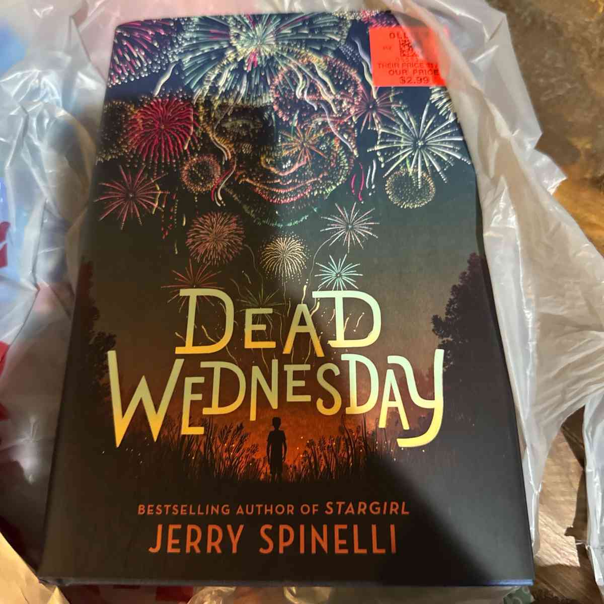 blow up ornament and a book to read