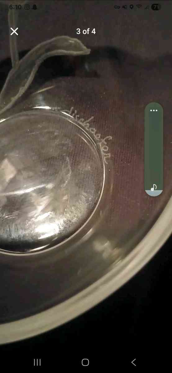 teleflora glass bowl with frosted etched tulips signed