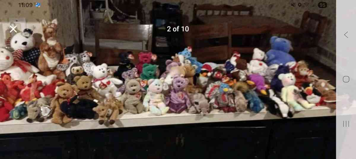 beanie babies collection