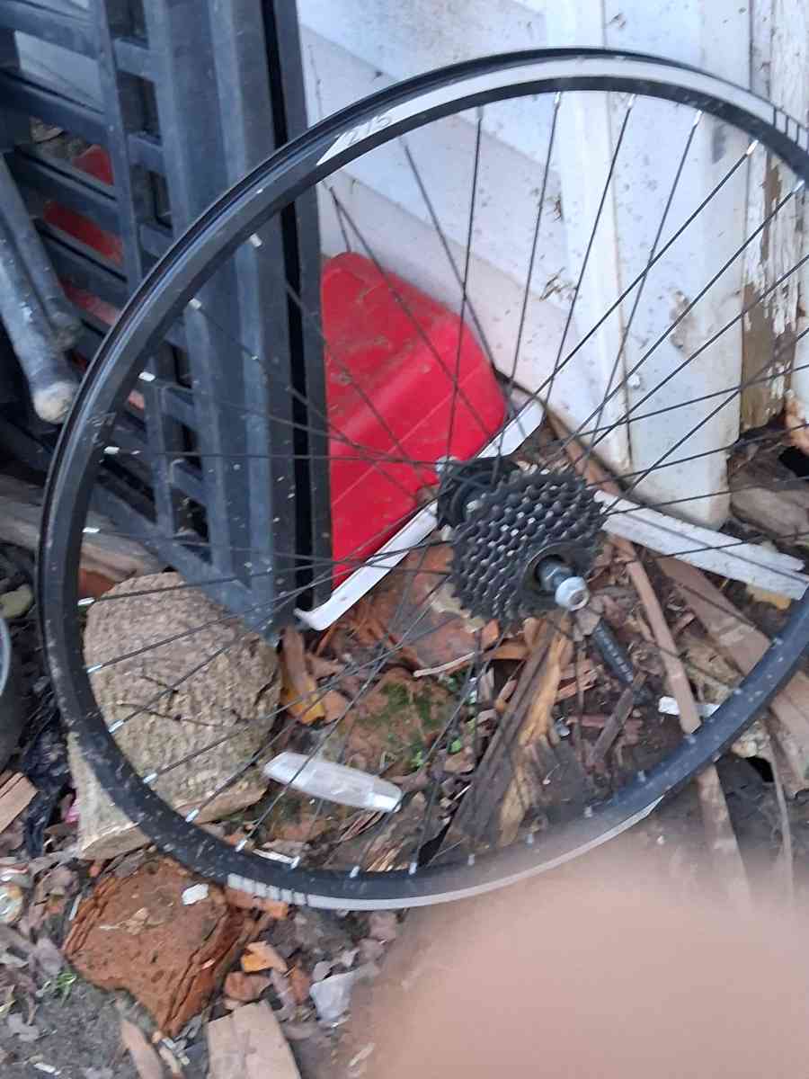 bicycle rims