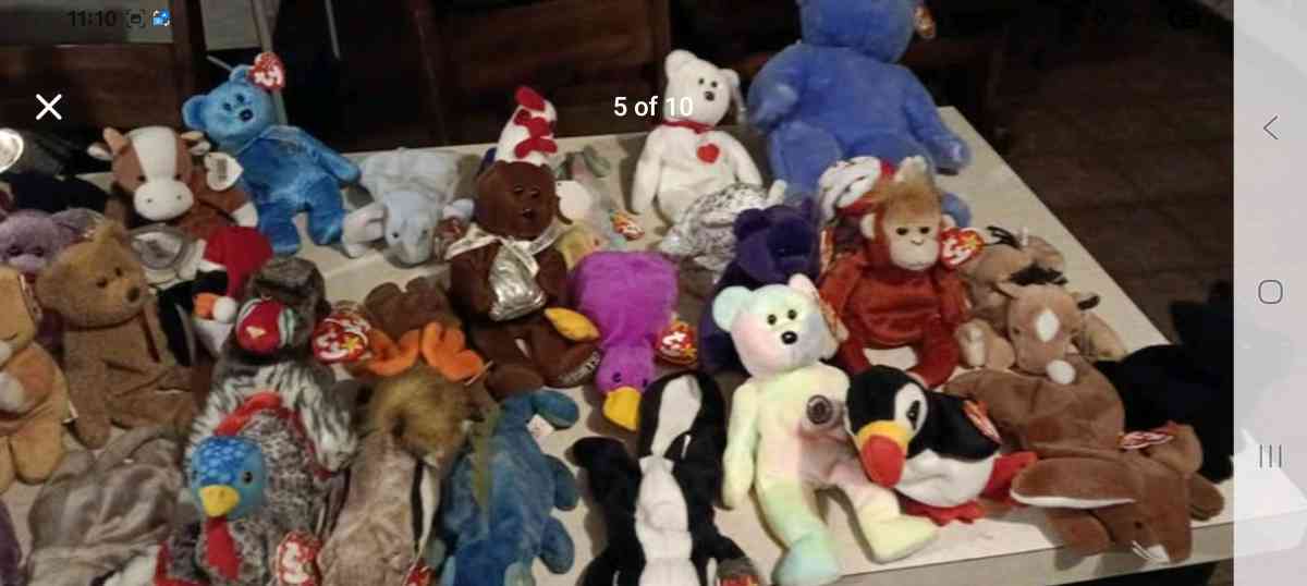 beanie babies collection