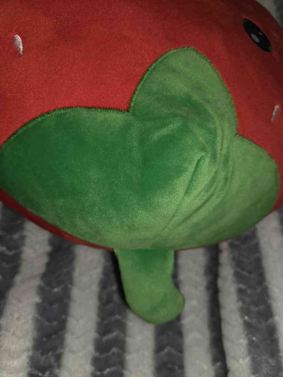 Berry Sweet Valentine Pillow New